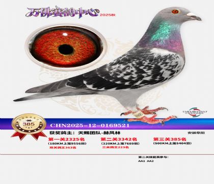 �����f��Qِ385��