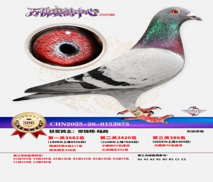 �����f��Qِ386��