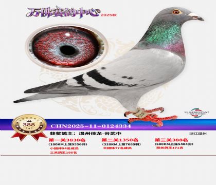 �����f��Qِ388��