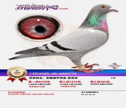 �����f��Qِ389��