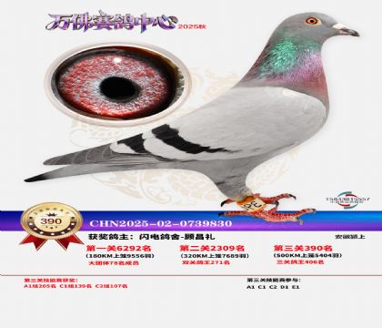 �����f��Qِ390��