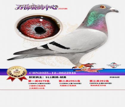 �����f��Qِ392��