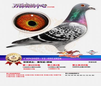 �����f��Qِ394��