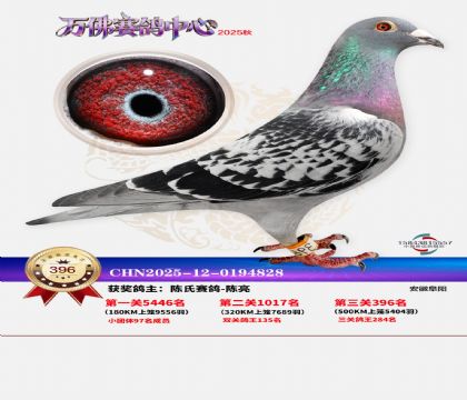 �����f��Qِ396��