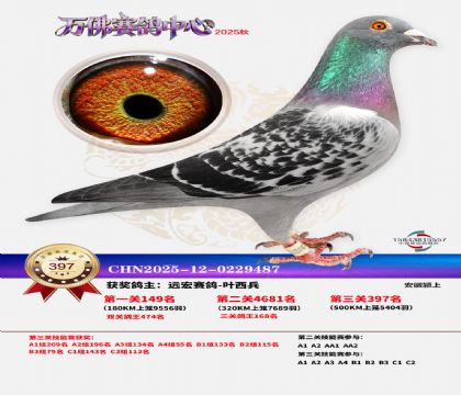 �����f��Qِ397��