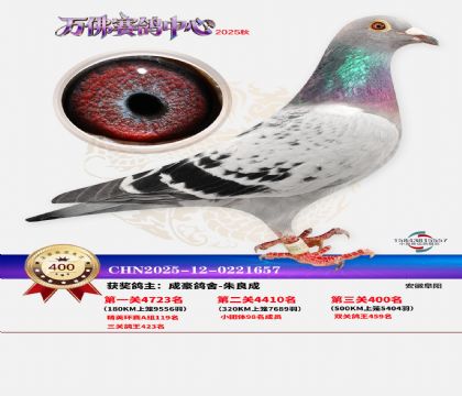 �����f��Qِ400��