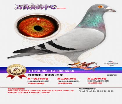 �����f(w��n)��Qِ403��