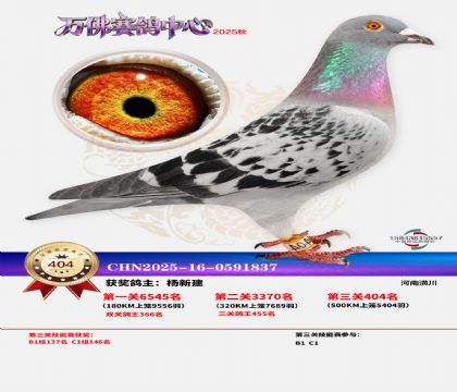 �����f(w��n)��Qِ404��