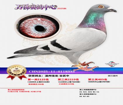 �����f(w��n)��Qِ405��