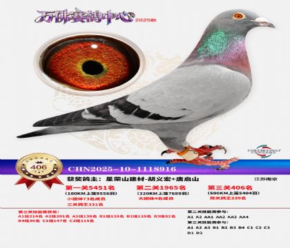 �����f(w��n)��Qِ406��