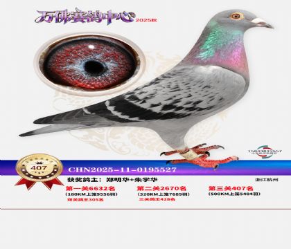 �����f(w��n)��Qِ407��