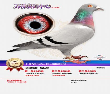 �����f(w��n)��Qِ408��