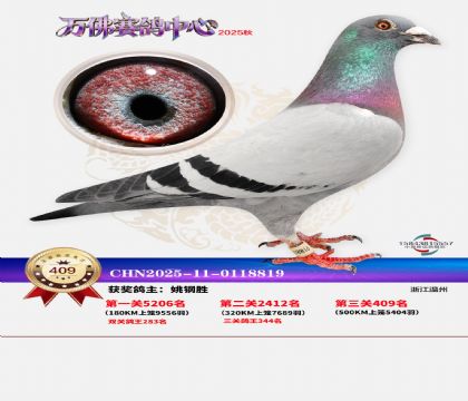 �����f(w��n)��Qِ409��