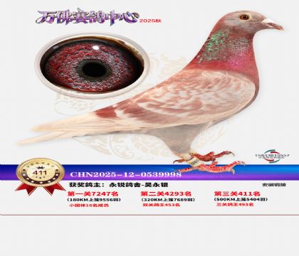 �����f(w��n)��Qِ411��