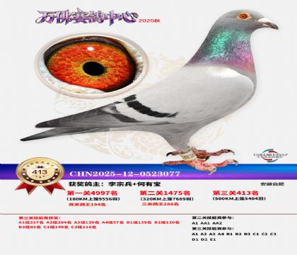 �����f(w��n)��Qِ413��