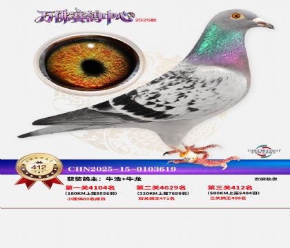 �����f(w��n)��Qِ412��