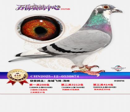 �����f(w��n)��Qِ414��