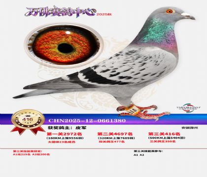 �����f(w��n)��Qِ416��