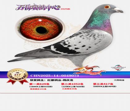 �����f(w��n)��Qِ417��