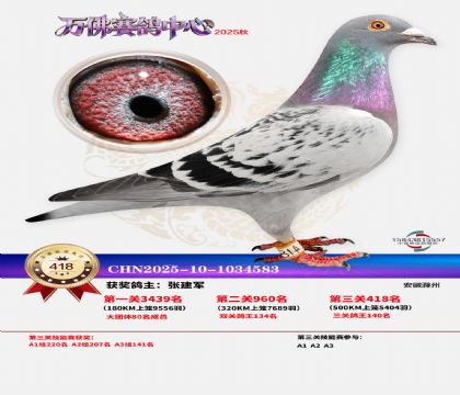 �����f(w��n)��Qِ418��