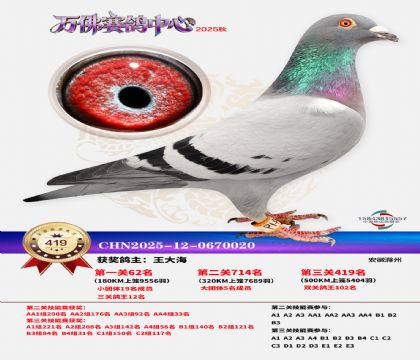 �����f(w��n)��Qِ419��