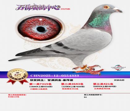 �����f(w��n)��Qِ421��