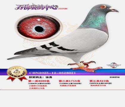 �����f(w��n)��Qِ423��