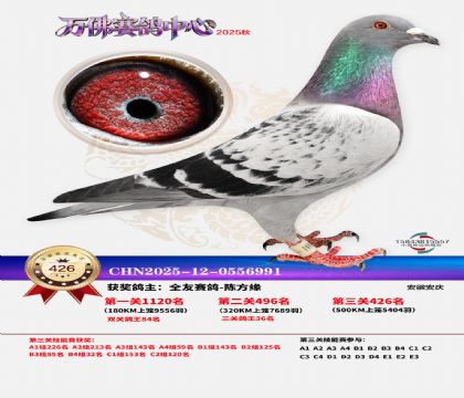 �����f(w��n)��Qِ426��