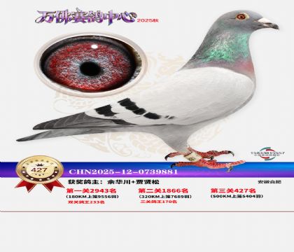 �����f(w��n)��Qِ427��