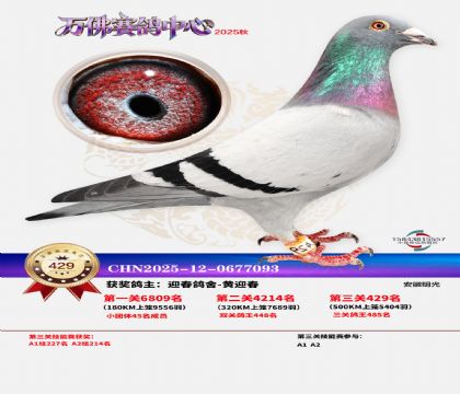 �����f(w��n)��Qِ429��