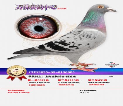 �����f(w��n)��Qِ431��