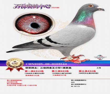 �����f(w��n)��Qِ432��