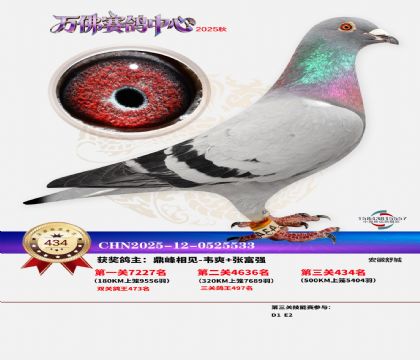 �����f(w��n)��Qِ434��