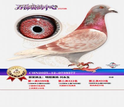 �����f(w��n)��Qِ433��