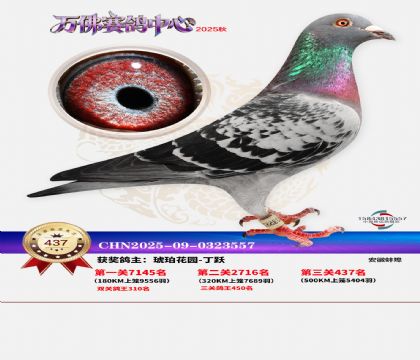 �����f(w��n)��Qِ437��