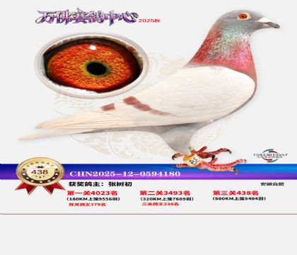 �����f(w��n)��Qِ438��