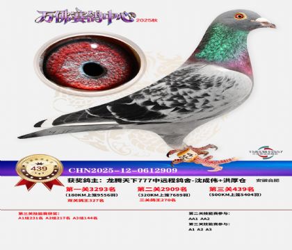 �����f(w��n)��Qِ439��