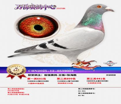 �����f(w��n)��Qِ441��