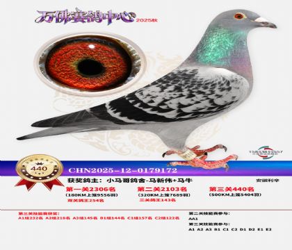 �����f(w��n)��Qِ440��