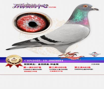 �����f(w��n)��Qِ442��