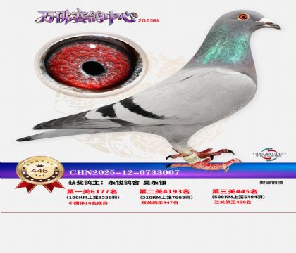 �����f(w��n)��Qِ445��