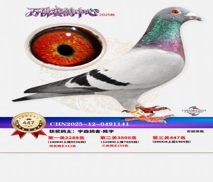 �����f(w��n)��Qِ447��