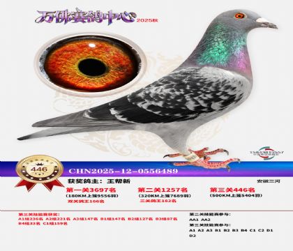 �����f(w��n)��Qِ446��