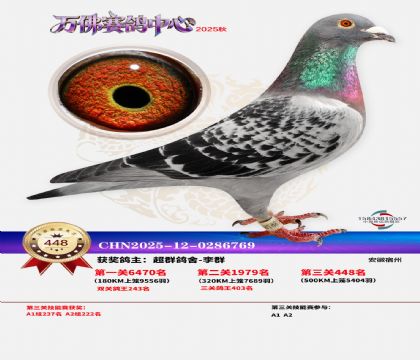 �����f(w��n)��Qِ448��