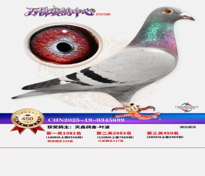 �����f(w��n)��Qِ450��