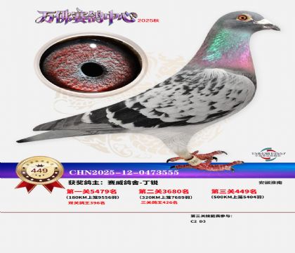 �����f(w��n)��Qِ449��