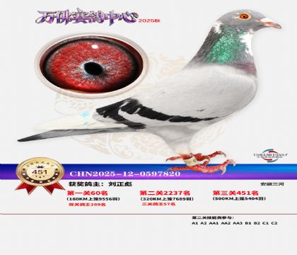 �����f(w��n)��Qِ451��