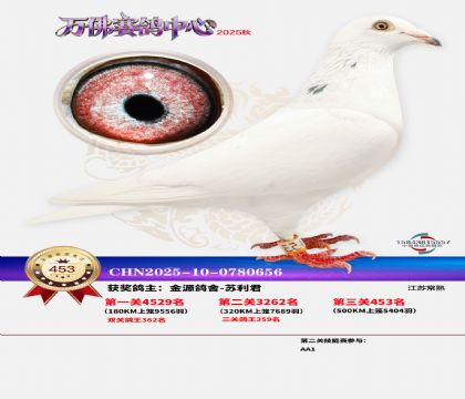 �����f(w��n)��Qِ453��