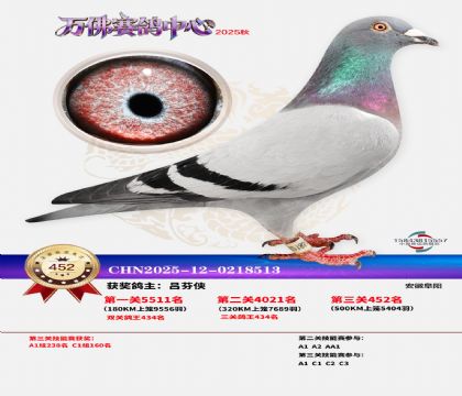 �����f(w��n)��Qِ452��