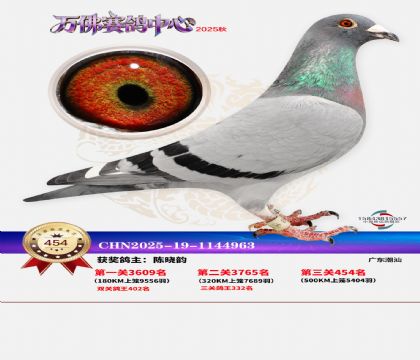 �����f(w��n)��Qِ454��